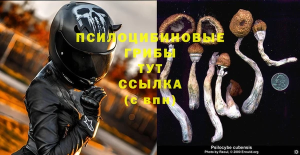 скорость Снежногорск