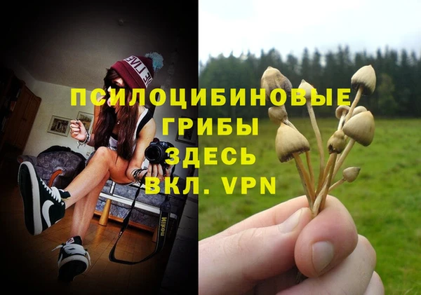 стаф Слюдянка
