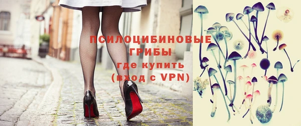 стаф Слюдянка
