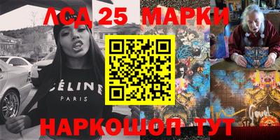 индика Партизанск