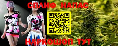 индика Партизанск