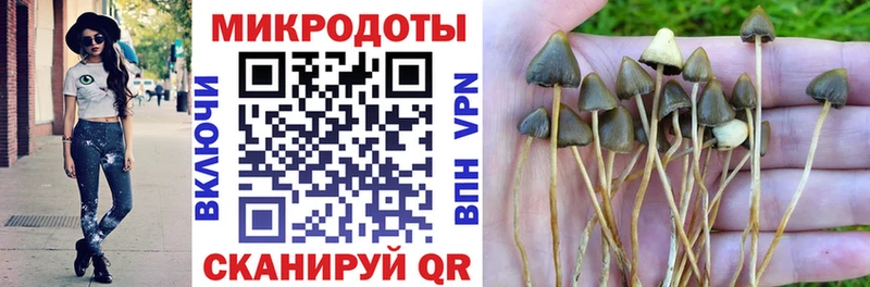 купить наркоту  ссылка на мегу ONION  Галлюциногенные грибы MAGIC MUSHROOMS  Троицк 