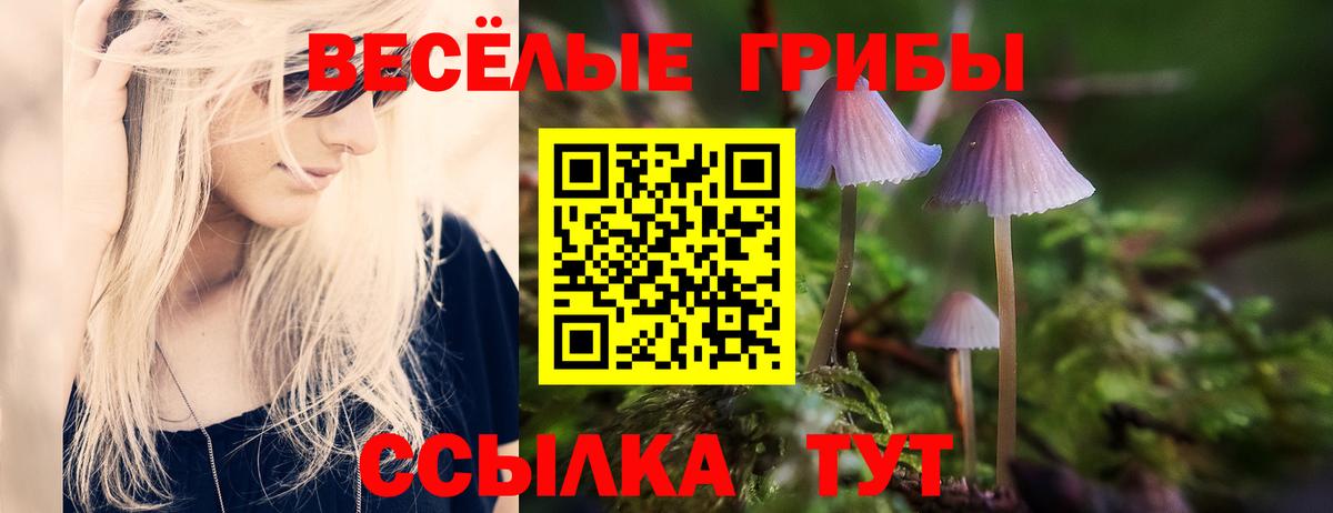Троицк  Галлюциногенные грибы прущие грибы  даркнет сайт  Псилоцибиновые грибы Psilocybine cubensis  Вход с VPN 